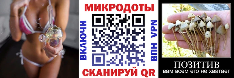 Купить закладки  Кувандык  Галлюциногенные грибы прущие грибы 