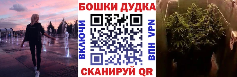 Купить  Кувандык  Шишки марихуана сатива 